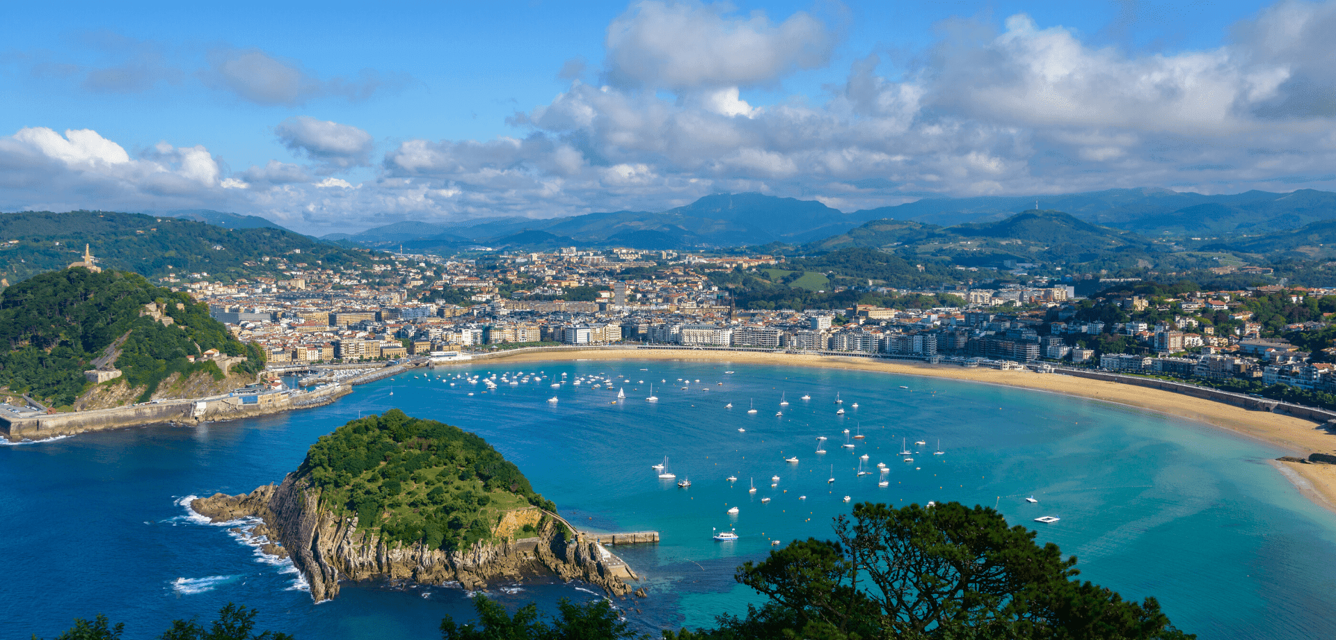 أدى تغير المناخ إلى زيادة وجود بعوضة النمر الآسيوي الناقل للمرض في جميع أنحاء جنوب أوروبا