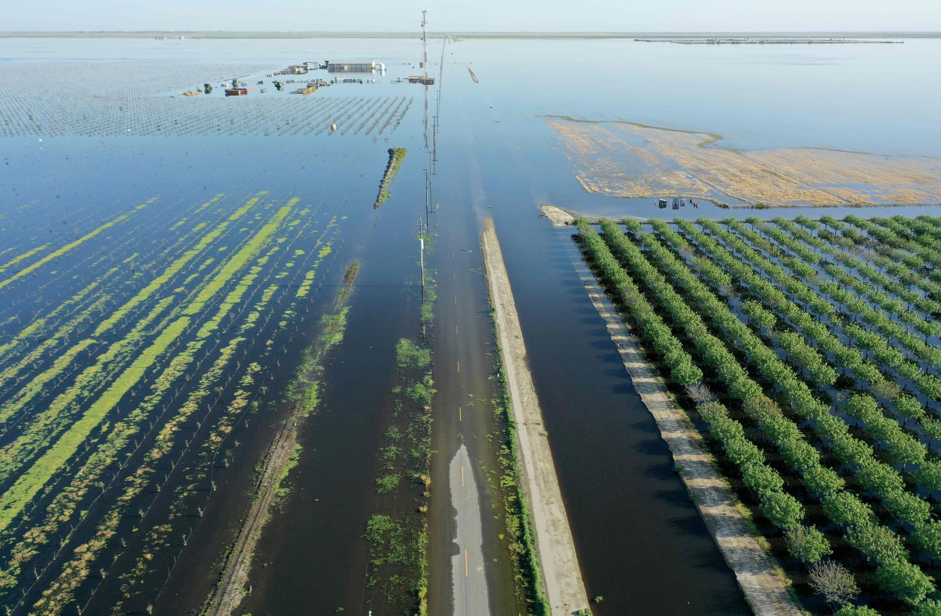 فيضانات كاليفورنيا تغرق مزارع الفستق .. وخسائر بالمليارات