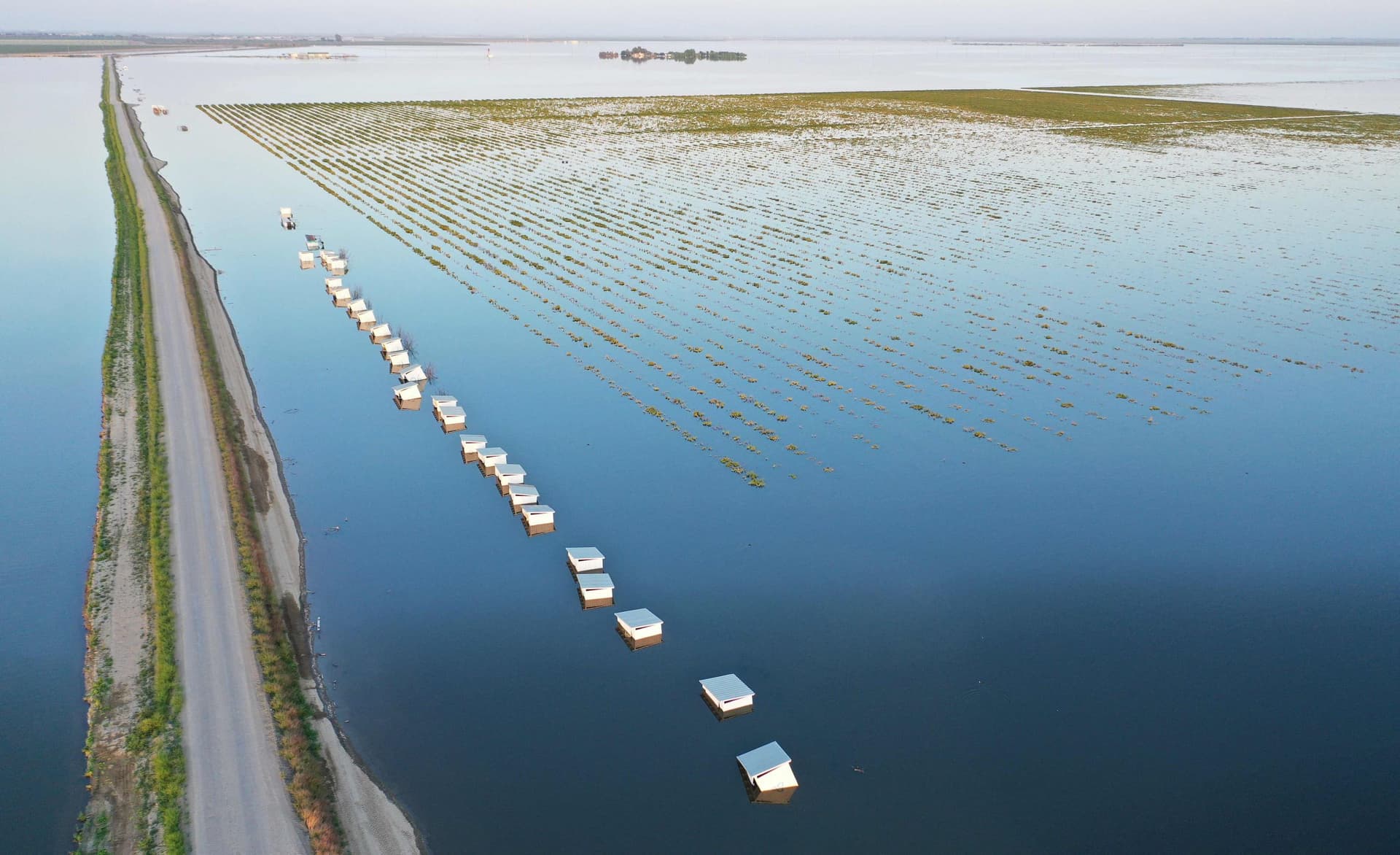 فيضانات كاليفورنيا تغرق مزارع الفستق .. وخسائر بالمليارات