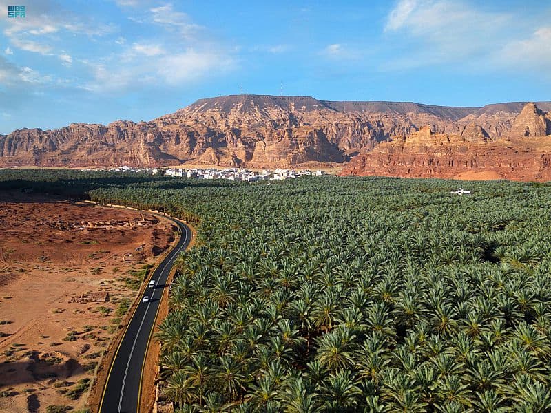 "البرني" أشهر التمور إنتاجا في العلا .. والأكثر استخداما في رمضان