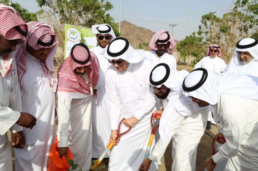 المملكة ترسم المستقبل الأخضر عالميا .. زراعة 15 مليون شجرة في 5 أعوام