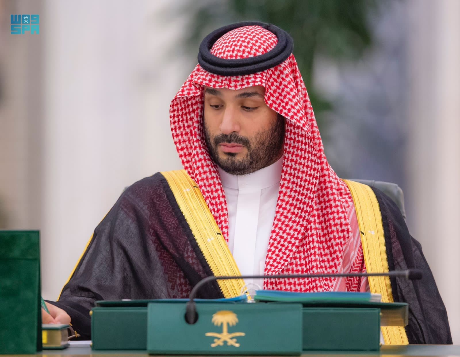 قواعد لتطبيق التأمين الصحي للعمالة المنزلية