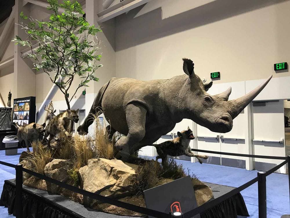 صيد الحيوانات هواية تستقطب الأثرياء في العالم.