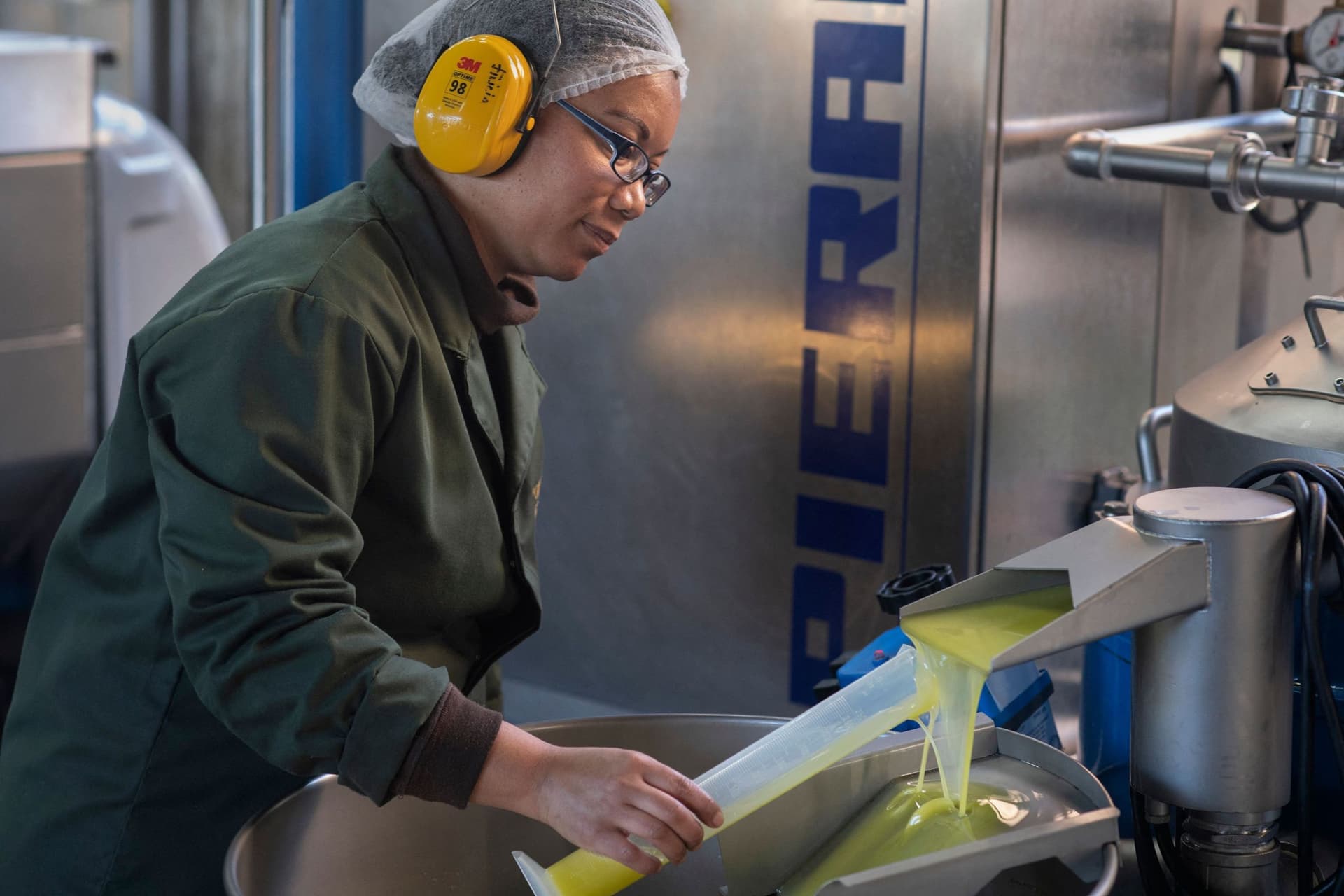 جنوب إفريقيا تحجز مكانة لها في مجال إنتاج زيت الزيتون الفاخر في العالم