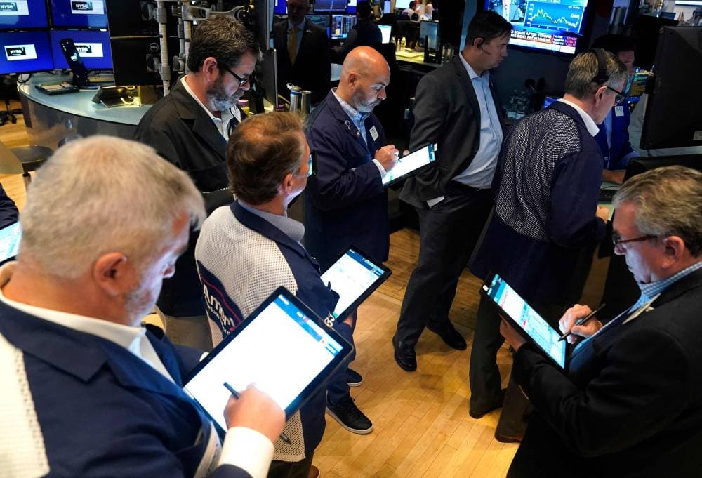 نيوم: اكتشاف كائنات بحرية عملاقة ونادرة وجزر جديدة في شمال البحر الأحمر