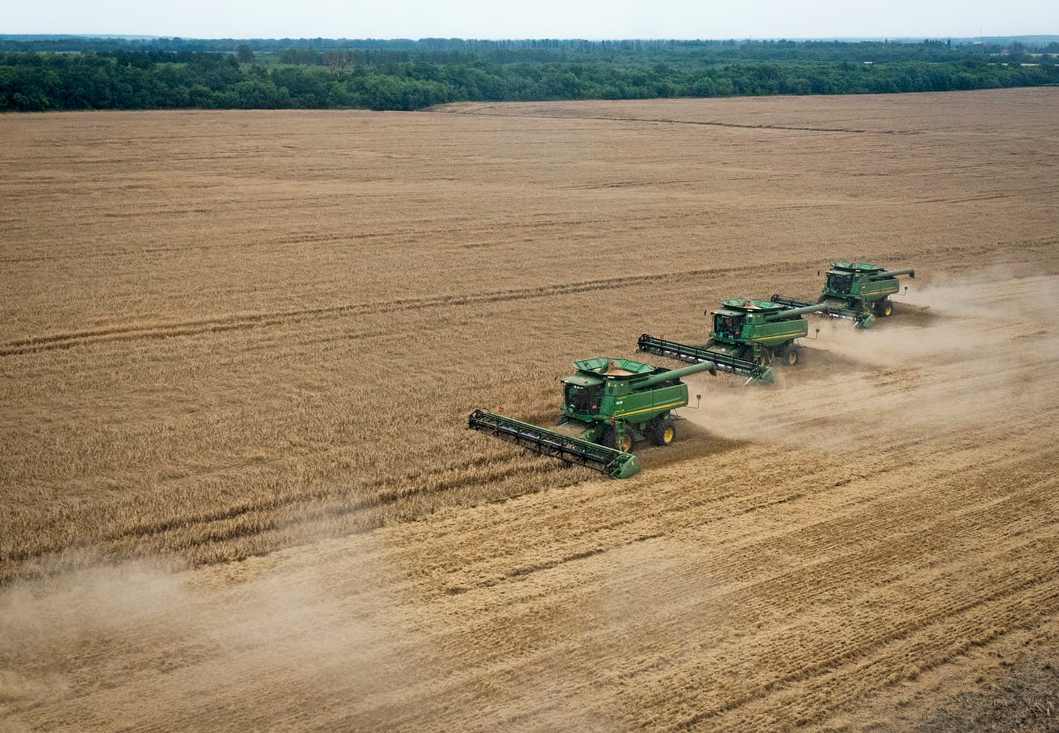 انعدام الأمن الغذائي يتزايد .. 258 مليون نسمة احتاجوا لمساعدة عاجلة في 2022