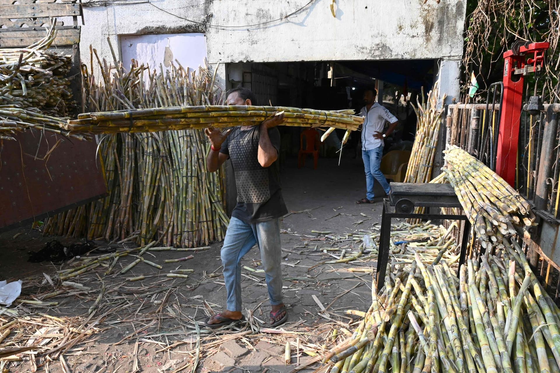 سوق قصب السكر في الهند .. 5.2 % نمو متوقع بحلول 2028