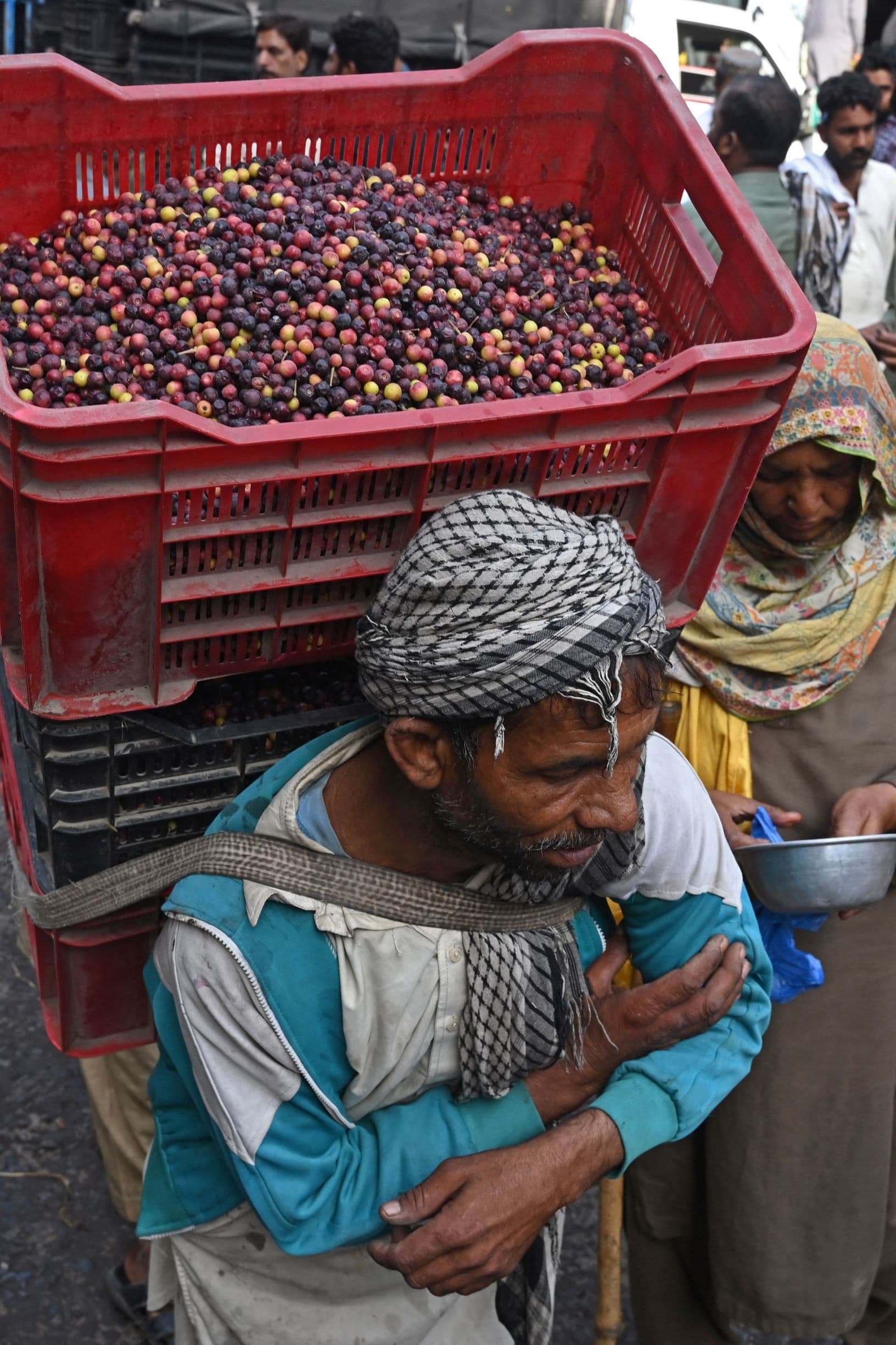 أسواق لاهور تستقبل محصول التوت