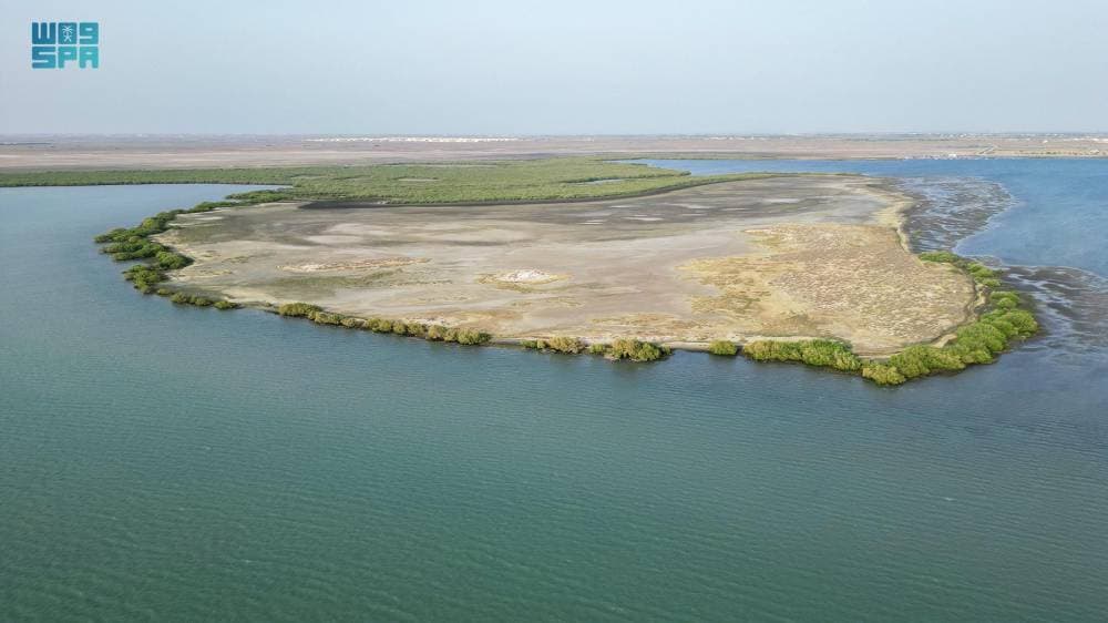 جزيرة عثر .. وجهة سياحية وفرص استثمارية واعدة