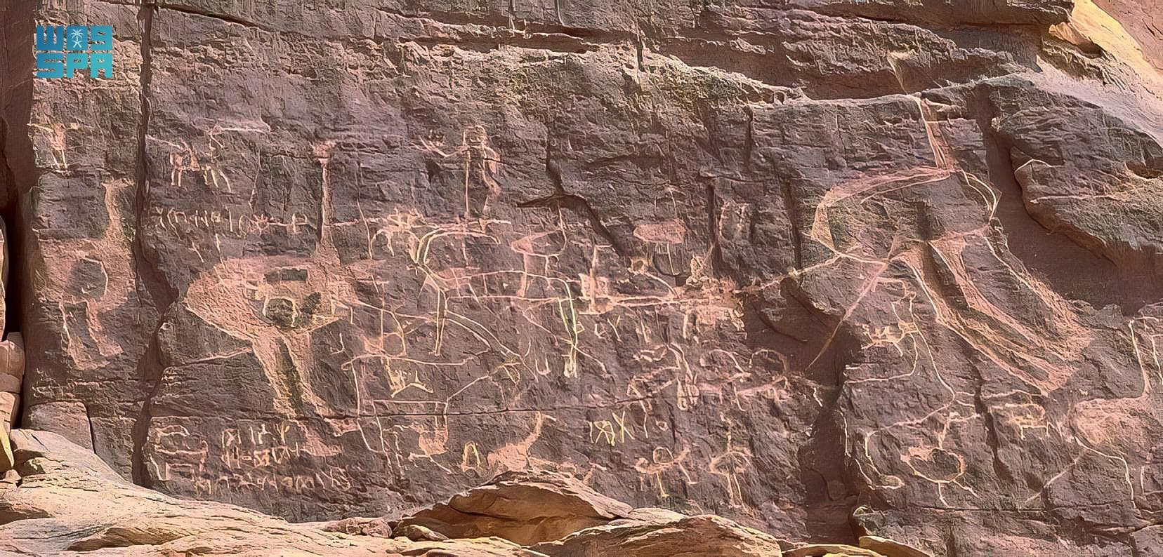 النعام العربي .. انقرض من الجزيرة العربية وخلدته النقوش