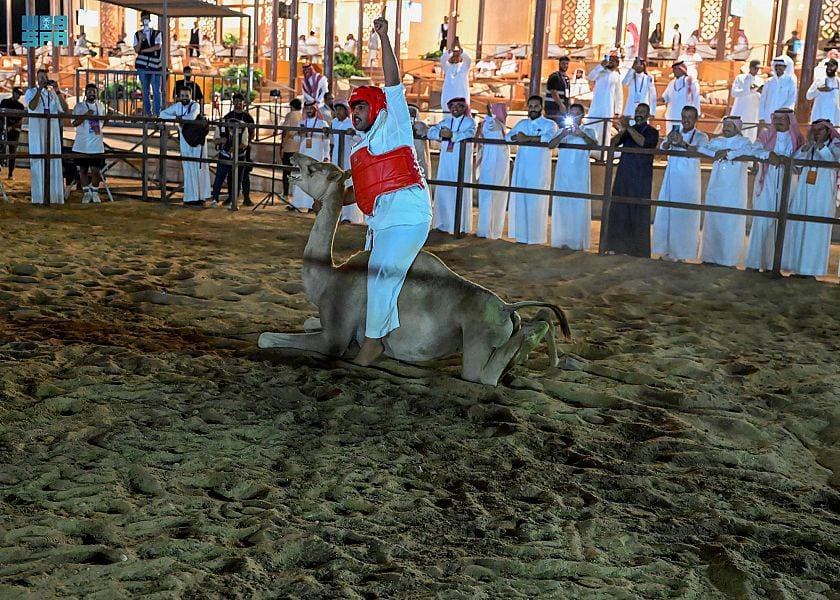 "دق الجرس" و"طرح القعود" تجذبان زوار "جادة الإبل" في تبوك