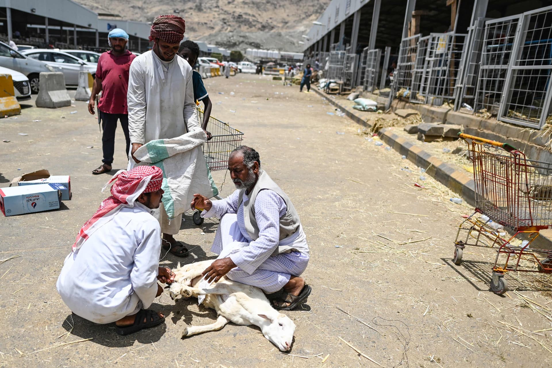 استعدادات عيد الأضحى حول العالم