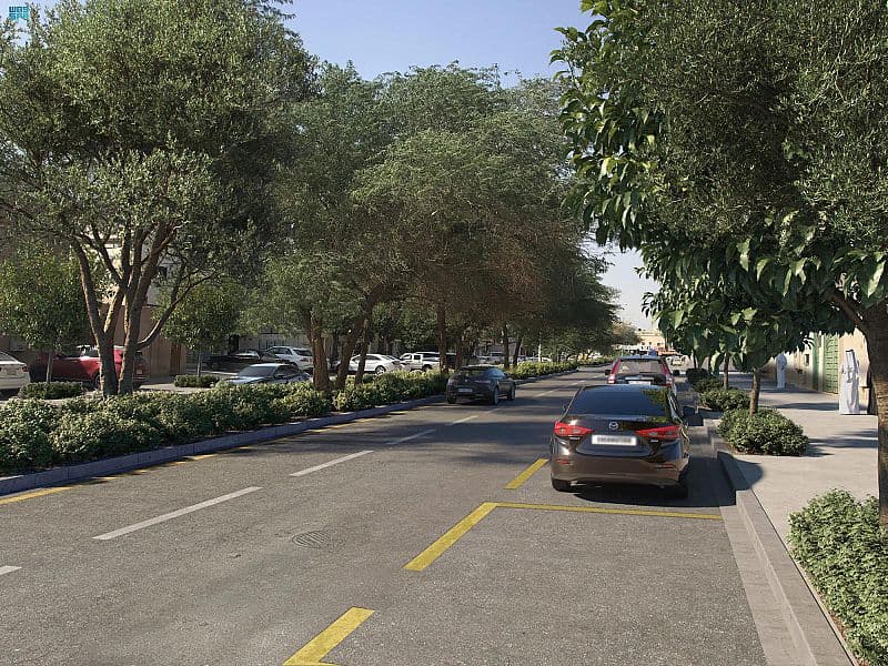 "الرياض الخضراء" يستهدف "حي قرطبة " بزراعة 92 ألف شجرة