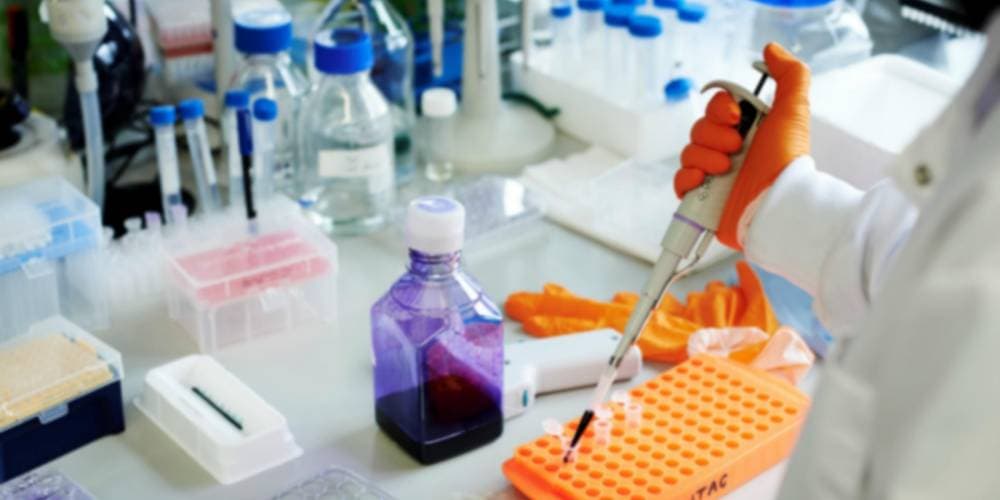 بعد خسائر قاسية .. أكبر أصول العالم الرقمية تتعافى إلى 49 ألف دولار