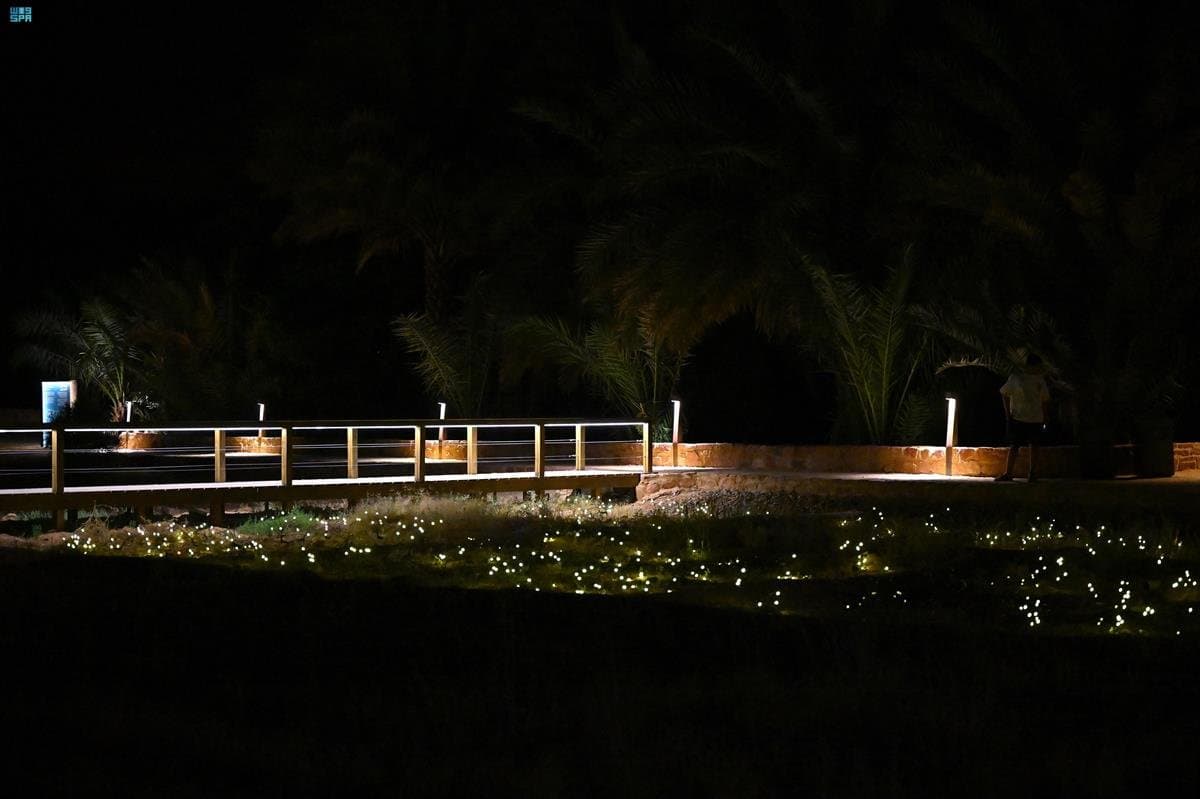 واحة "‫ديمومة‬".. مقصد صيفي لزوار العلا 