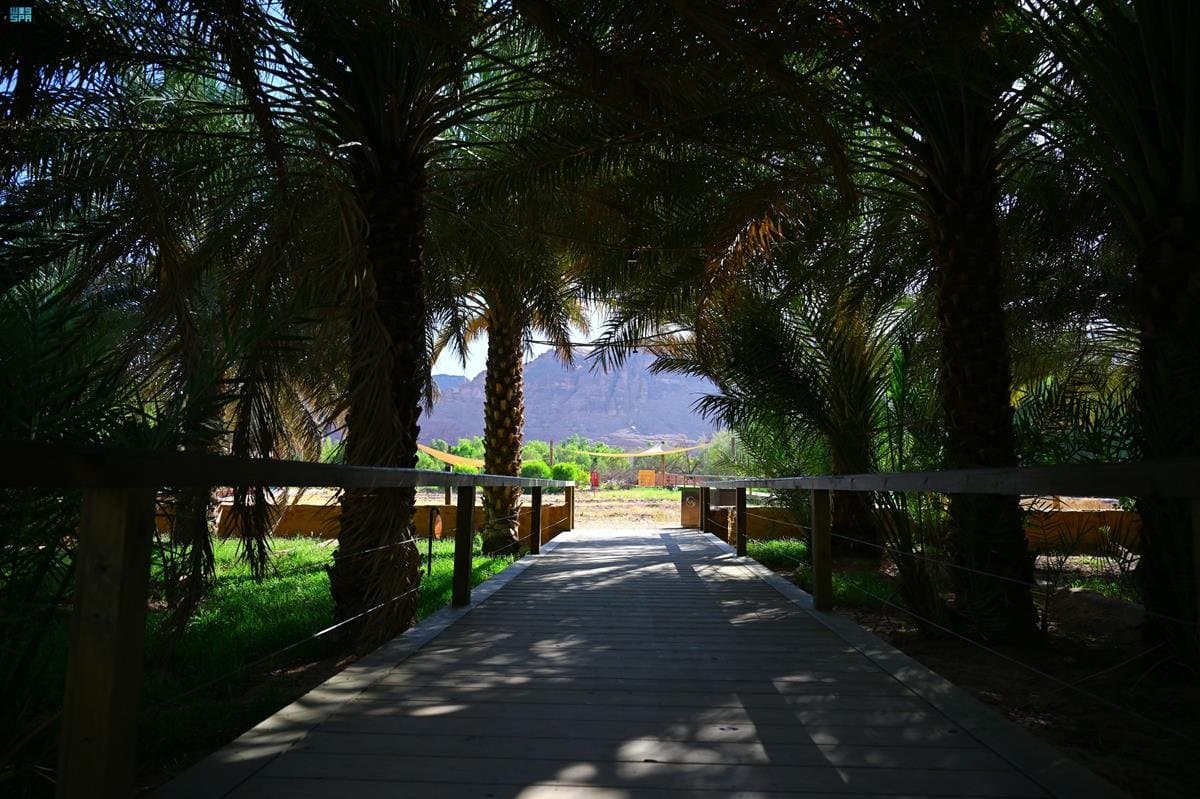 واحة "‫ديمومة‬".. مقصد صيفي لزوار العلا 