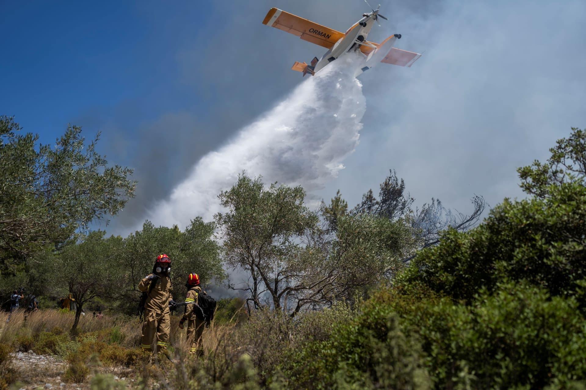 حرائق الغابات تهدد النظام البيئي في اليونان