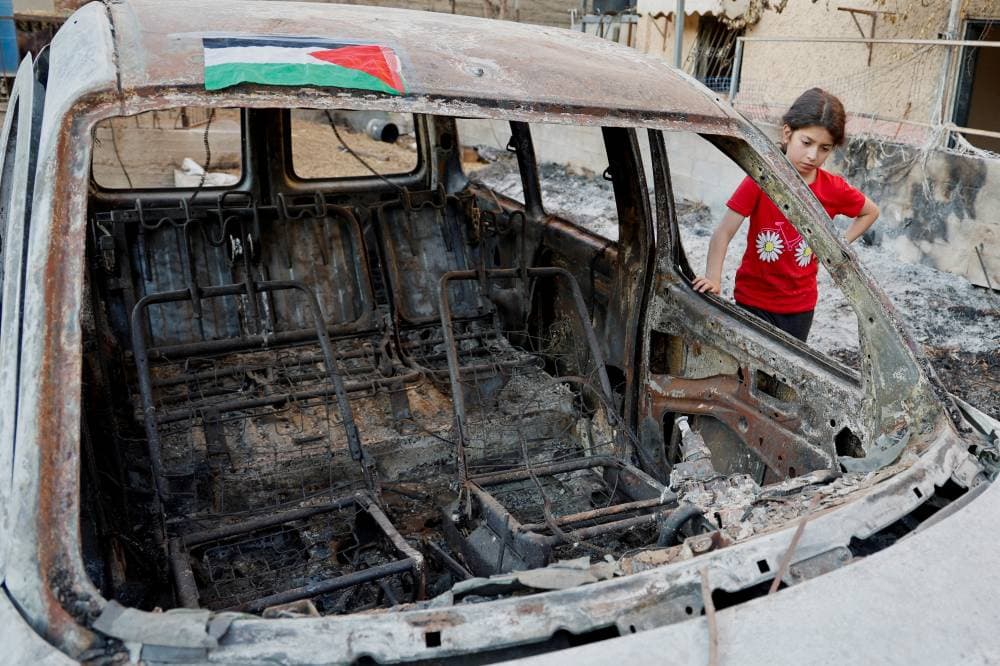 "الغطاء النباتي" : نثر 10 أطنان من البذور في 11 منطقة حول المملكة