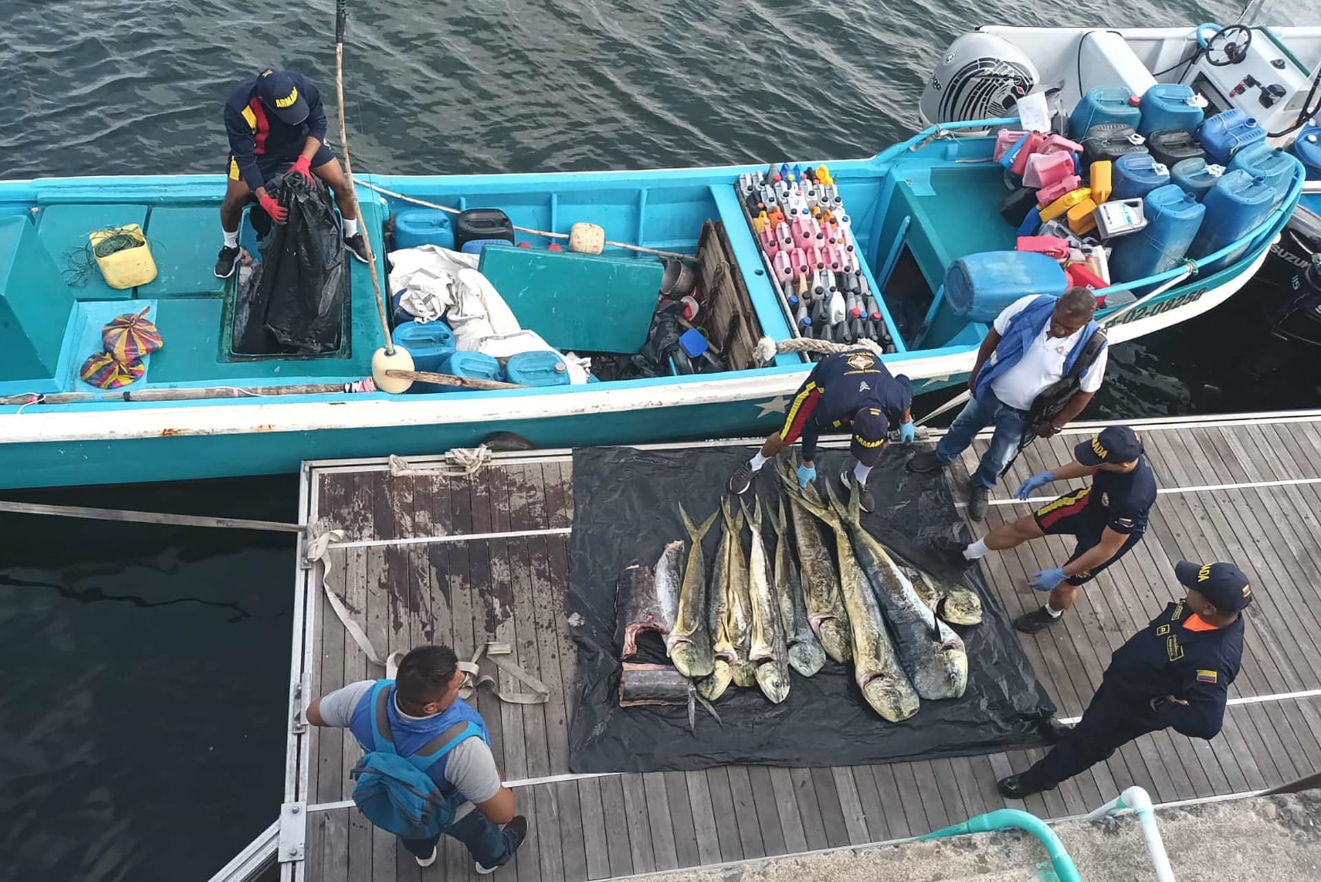 مصادرة 6 أطنان من الأسماك النادرة نقلت بشكل غير قانوني