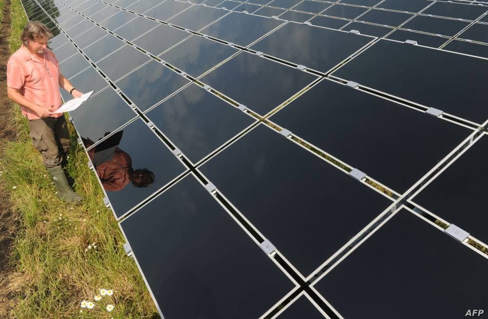 اتفاقية بين صندوق الاستثمارات و "بي آر إف" البرازيلية لتأسيس مشروع دواجن مشترك في المملكة