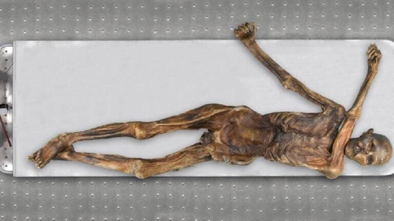 80 مليار ريال حجم الإنفاق على رحلات المبيت المحلية في المملكة خلال 2021