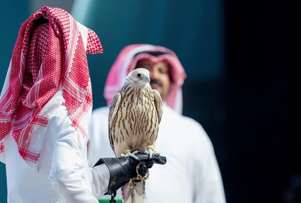 بيع أغلى صقر حر في الشرق الأوسط بنصف مليون ريال