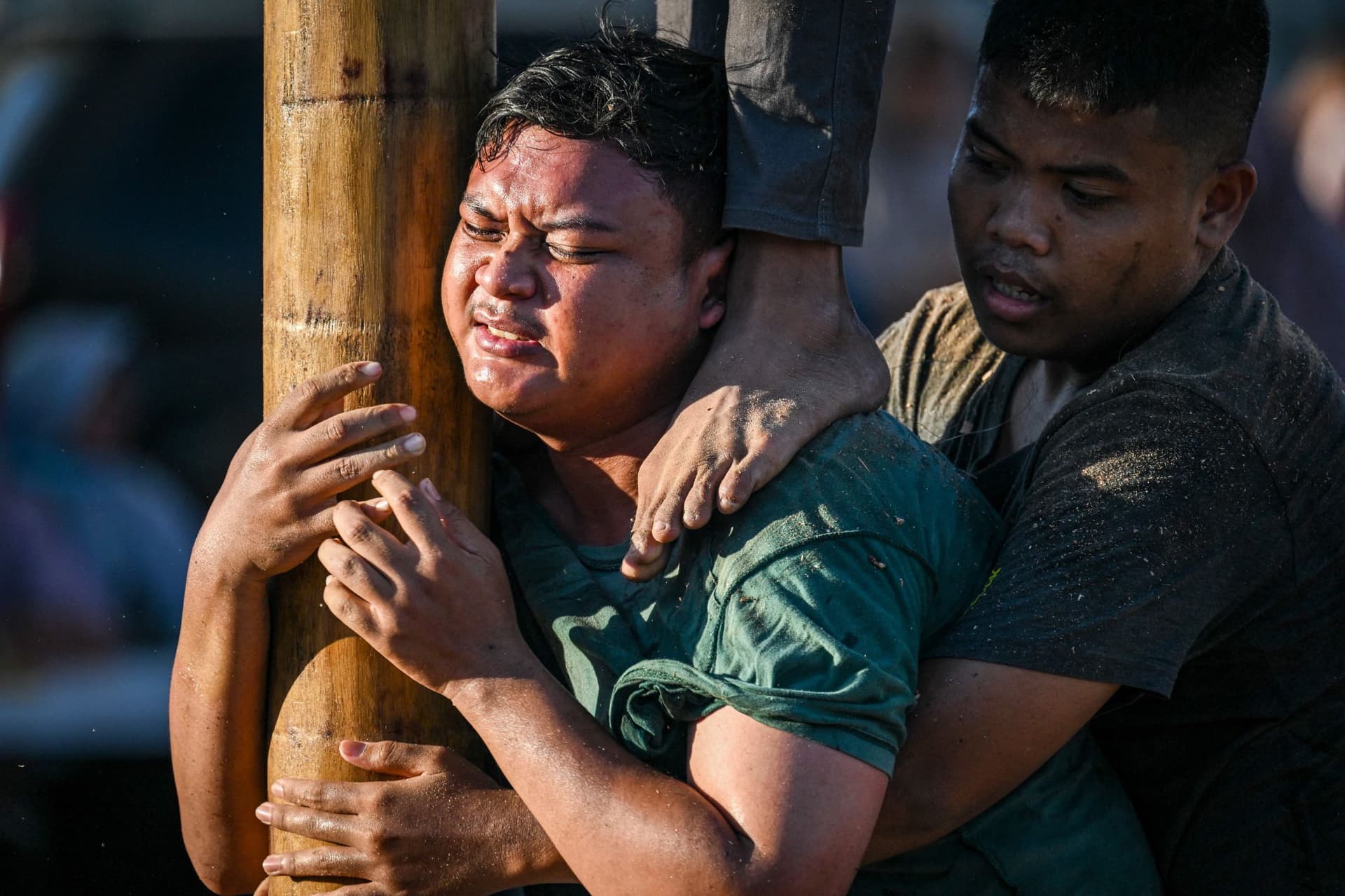 مهمة شاقة للبحث عن الجوائز