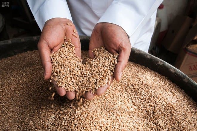 السعودية تنتج 840 ألف طن من الحبوب خلال عام .. 64 % منها قمح
