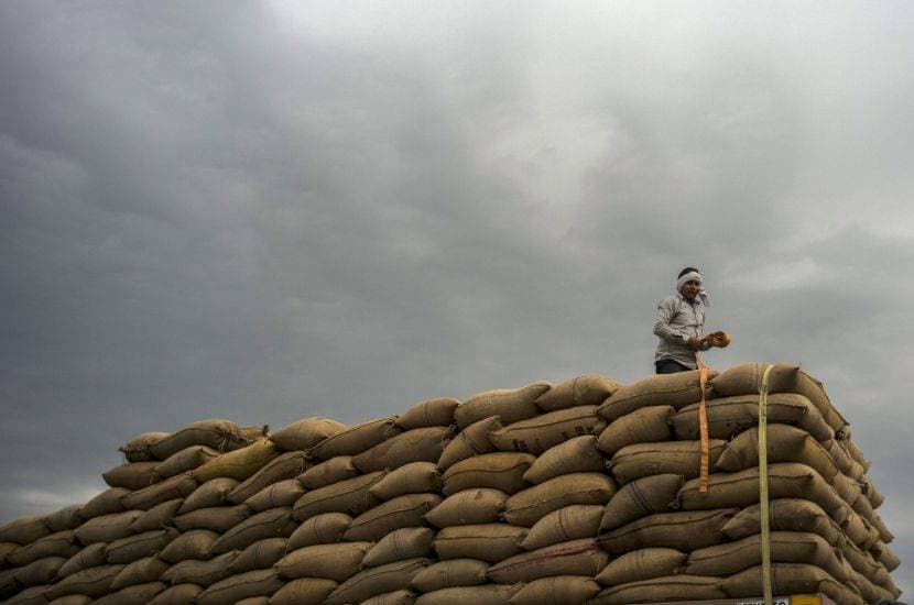 مخاوف من تقييد المعروض العالمي مع توجه الهند لفرض ضريبة على صادرات الحبوب