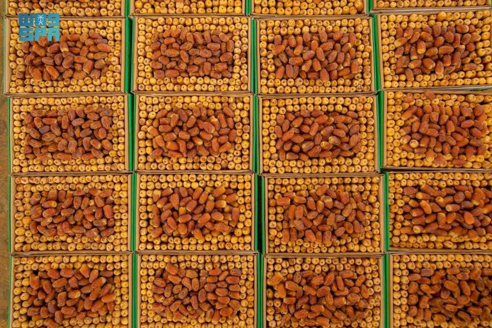45 نوعا من التمور تغزو كرنفال بريدة، وشهد الكرنفال إقبالا كبيرا من قبل التجار والمستهلكين.  «واس»