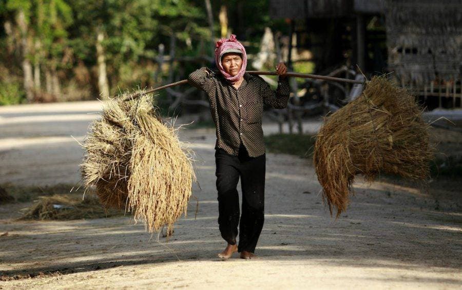 مونديال الأندية .. منع الإعلان المخالف في 9 مناطق