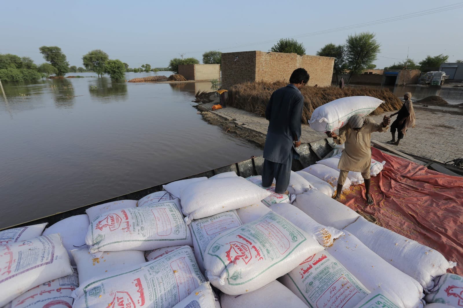 صراع من أجل الغذاء