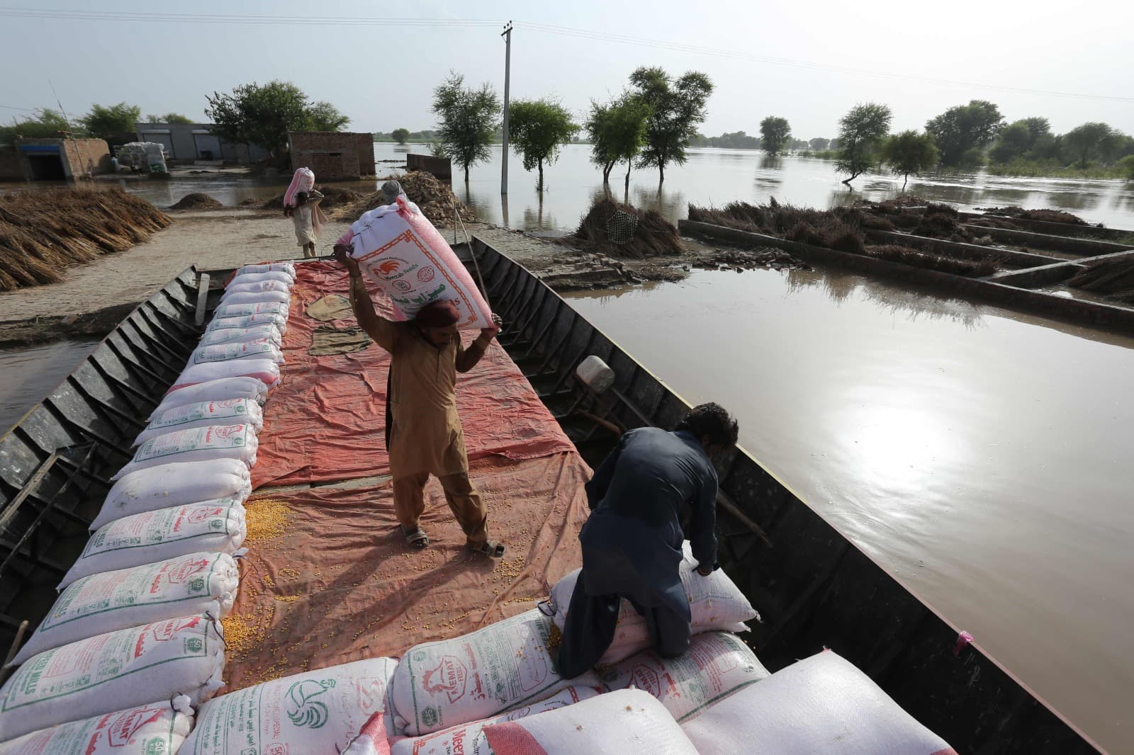 صراع من أجل الغذاء