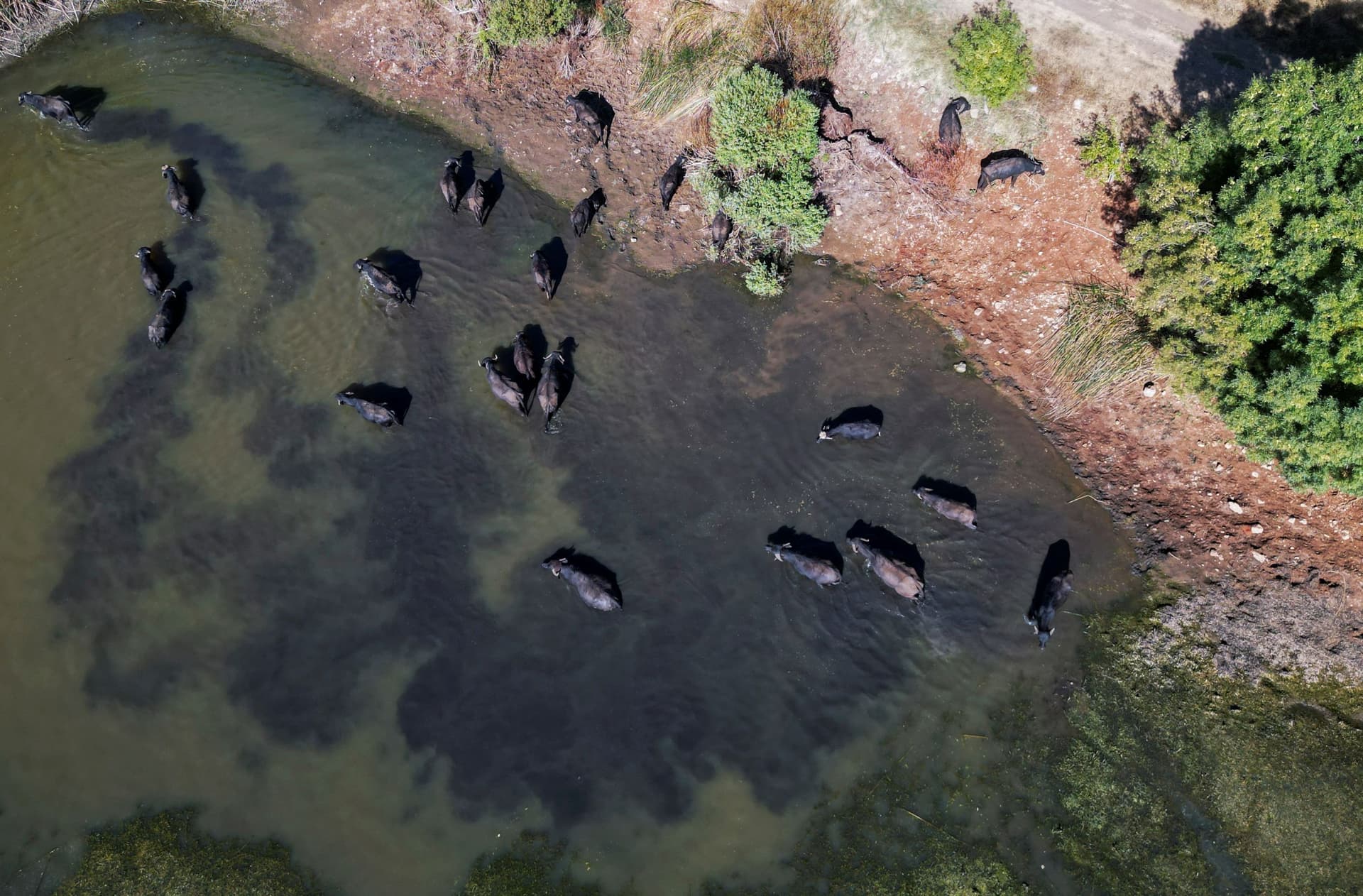 رغم تغير المناخ .. محمية عميق في لبنان تحافظ على طبيعتها