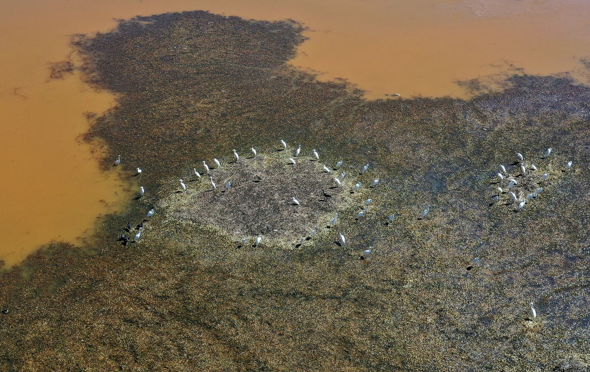 رغم تغير المناخ .. محمية عميق في لبنان تحافظ على طبيعتها