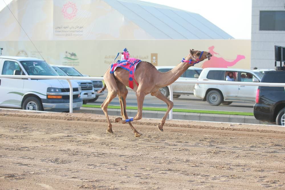 مارية تسجل التوقيت الأفضل في اليوم الثاني لمهرجان الهجن.