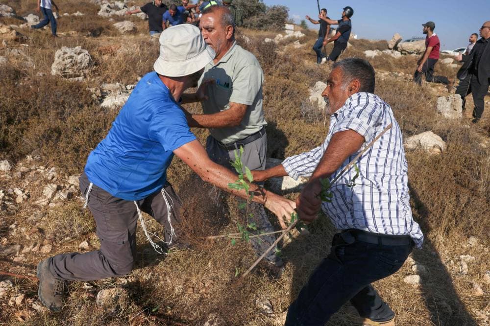 مستوطنون يعتدون على الفلسطينيين في الخليل."الفرنسية"