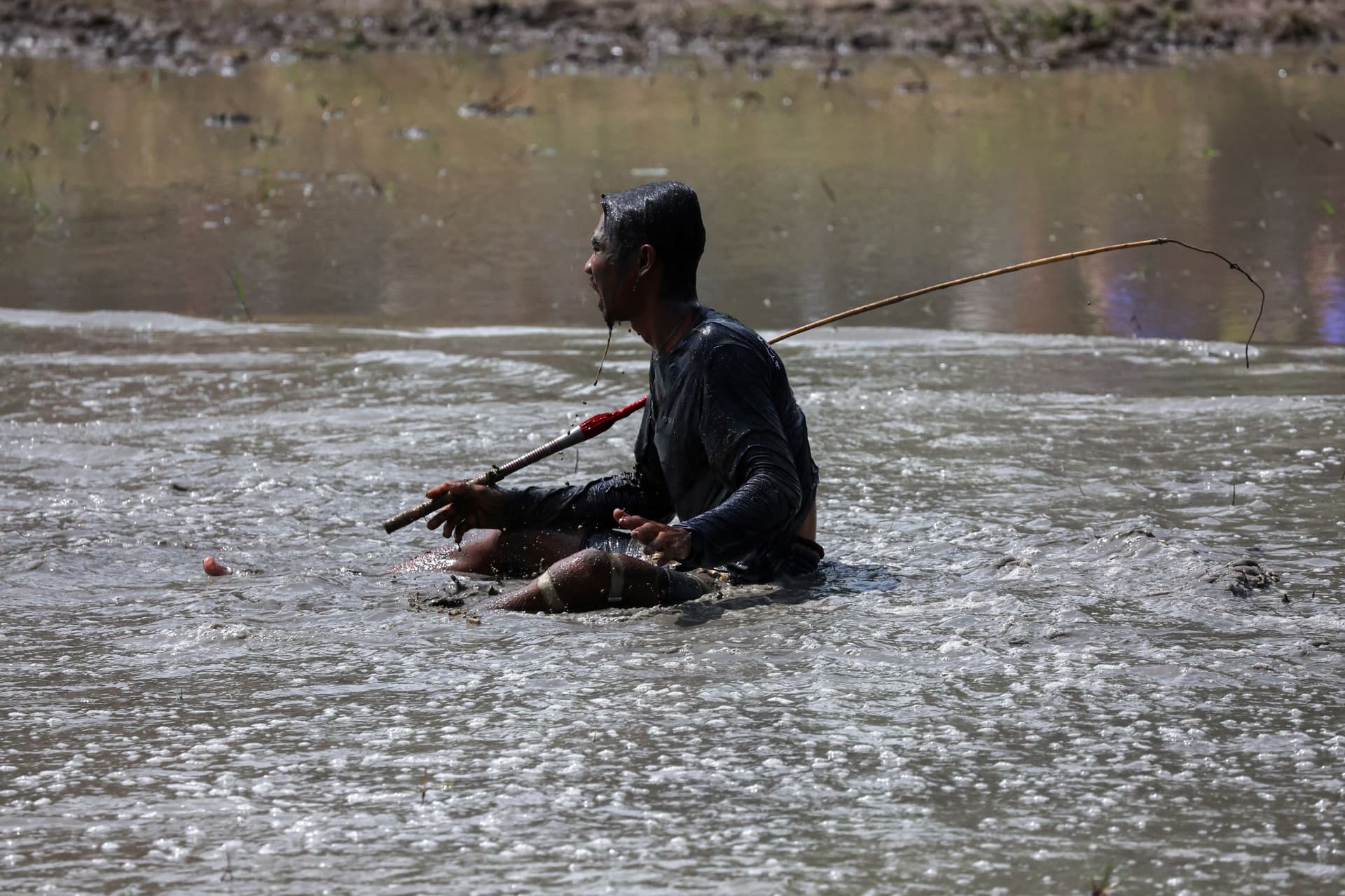 انطلاق موسم زراعة الأرز في تايلاند بسباق "جواميس الماء"