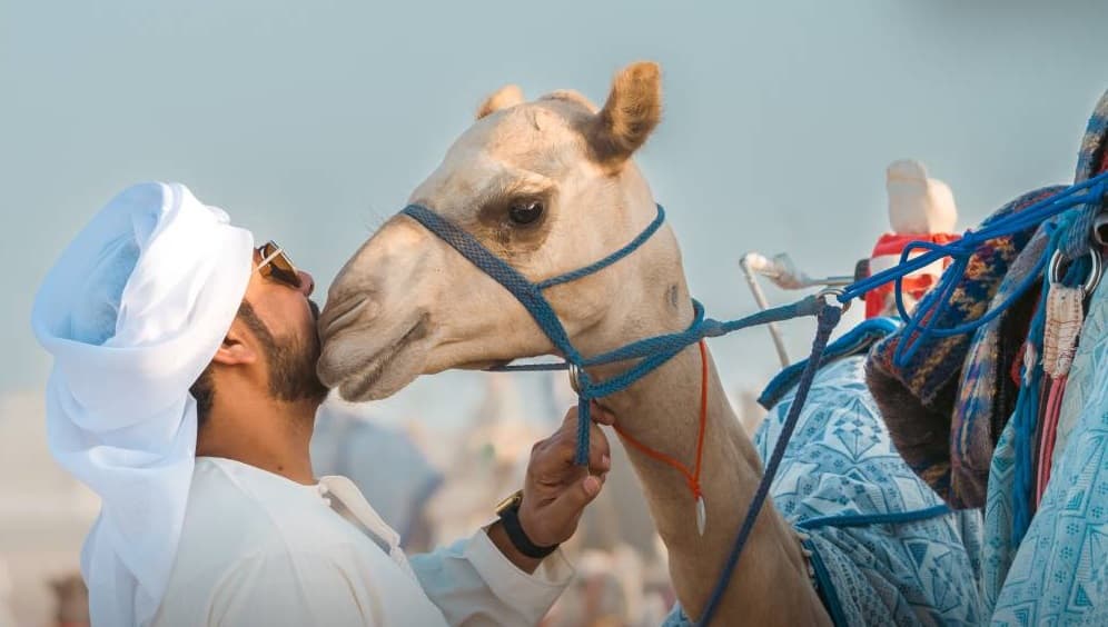 «مبلشة» .. الأفضل في «الحقايق»