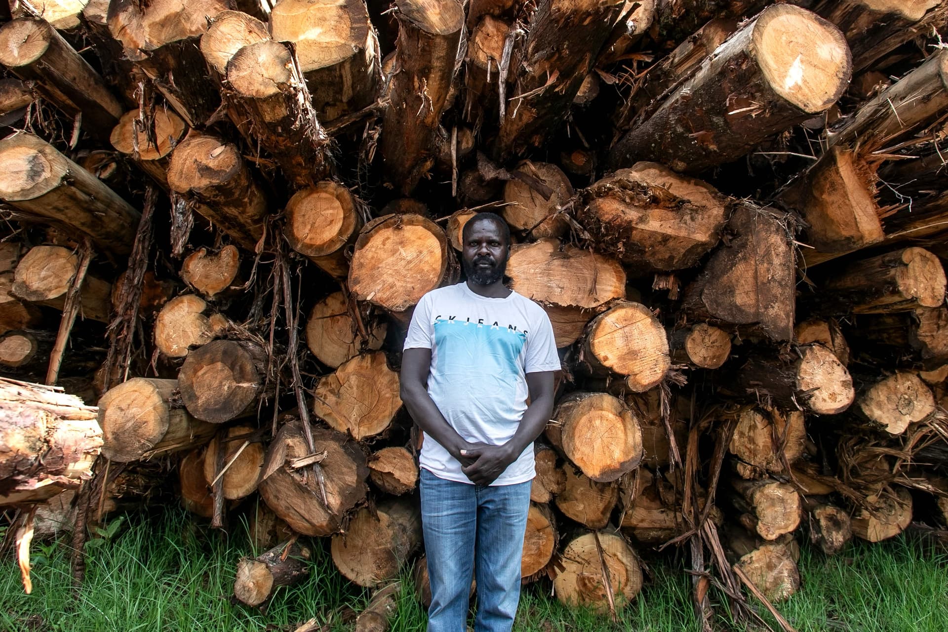 إلغاء حظر قطع الأشجار يقسم كينيا 