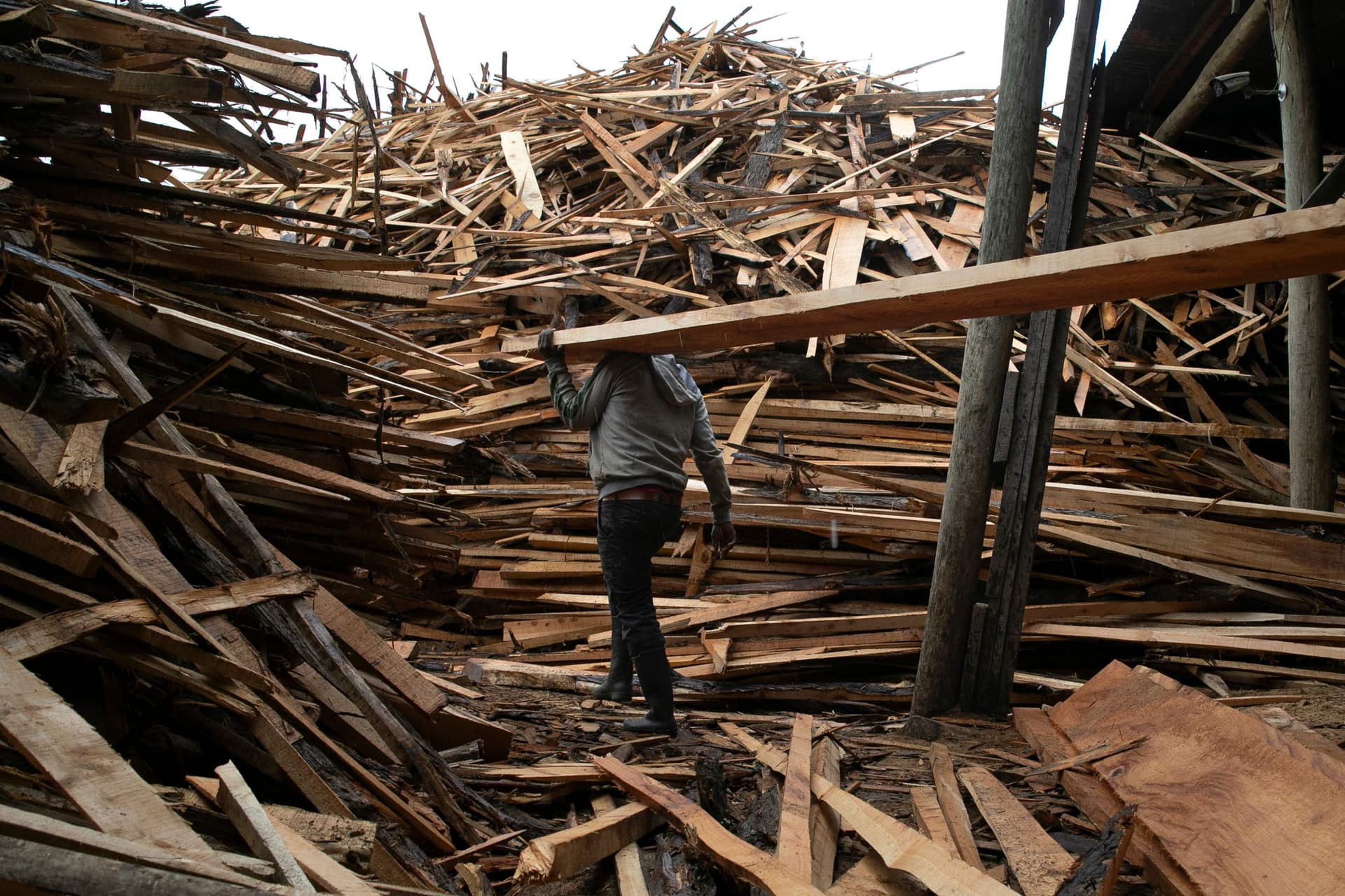 إلغاء حظر قطع الأشجار يقسم كينيا 