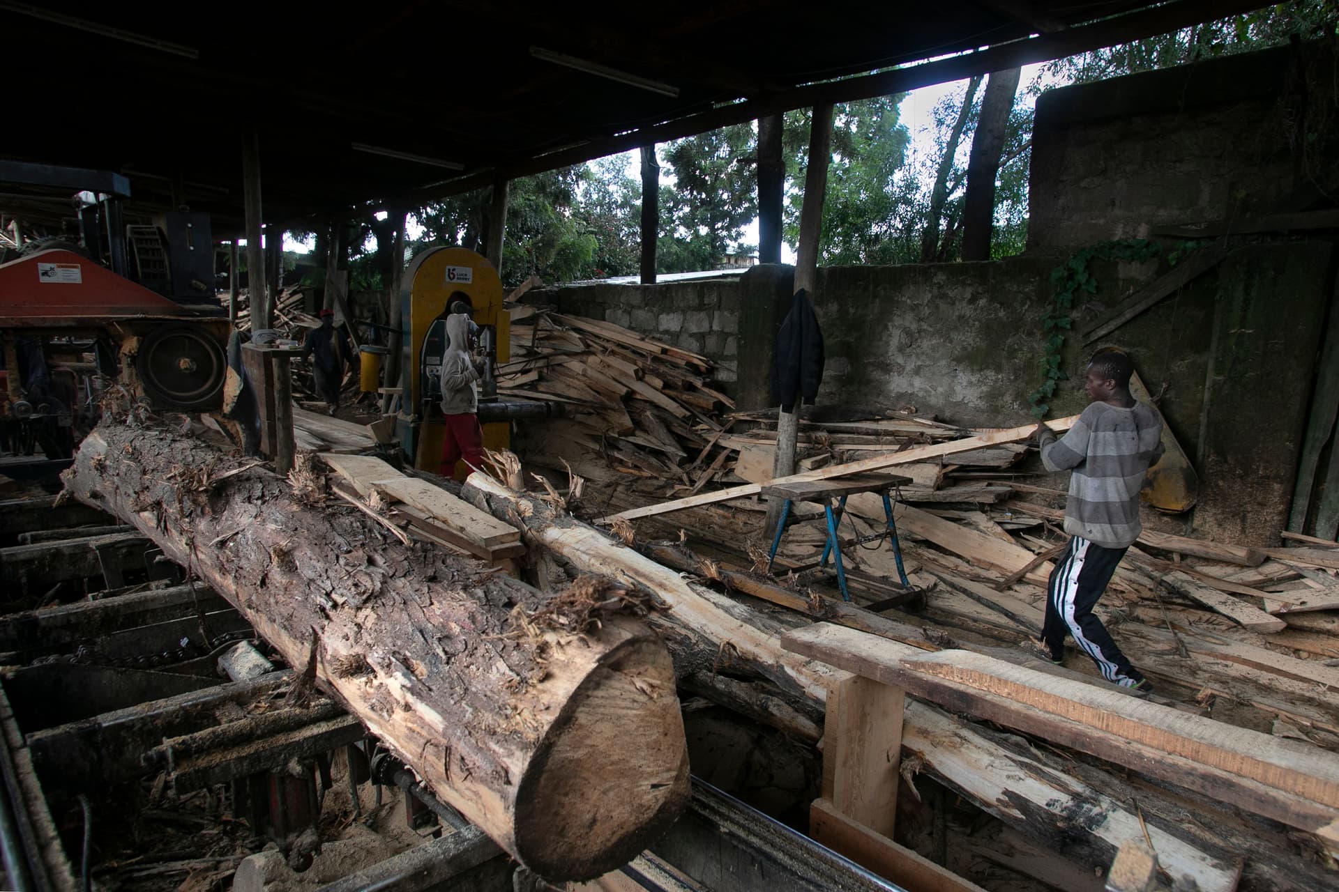 إلغاء حظر قطع الأشجار يقسم كينيا 