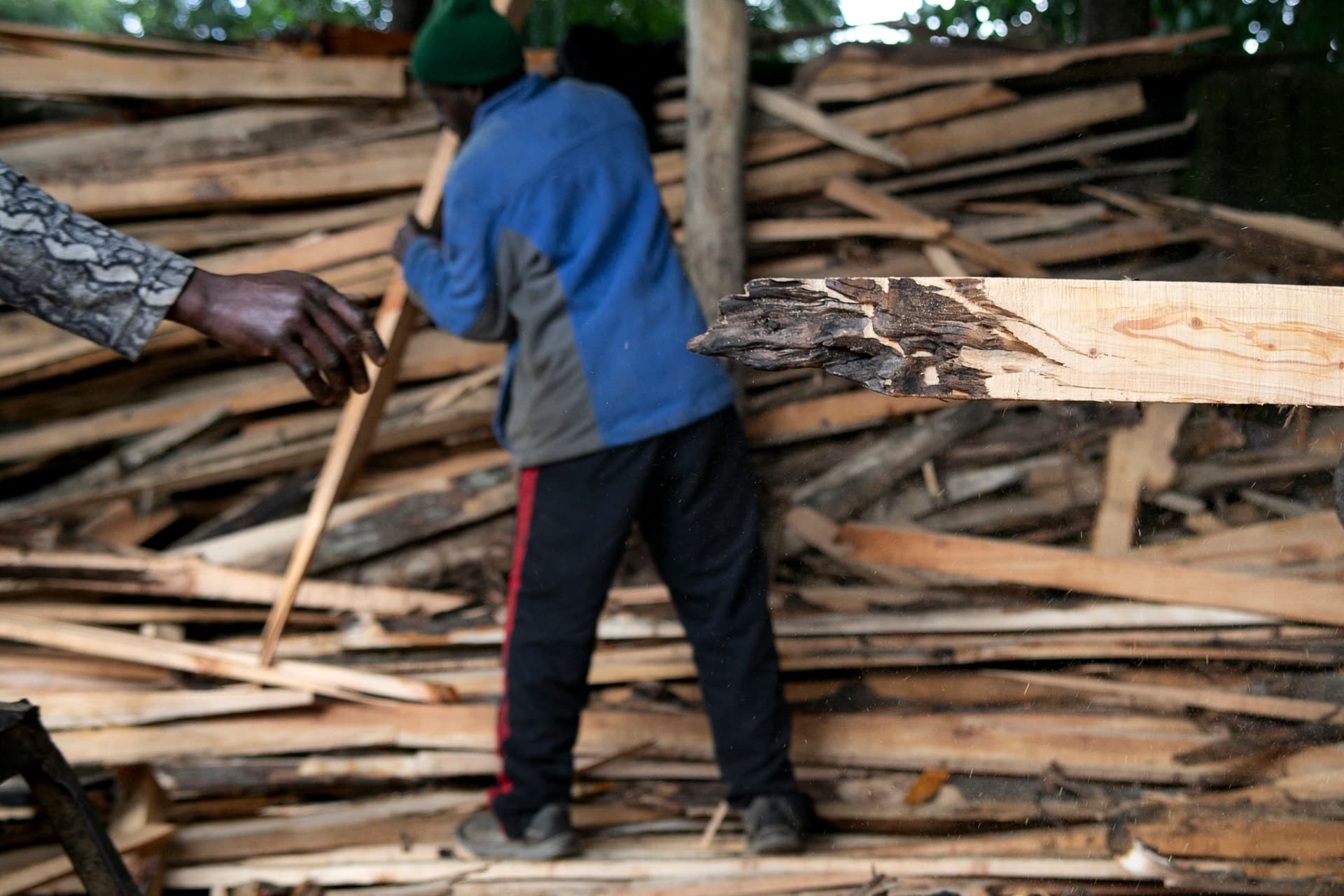 إلغاء حظر قطع الأشجار يقسم كينيا 