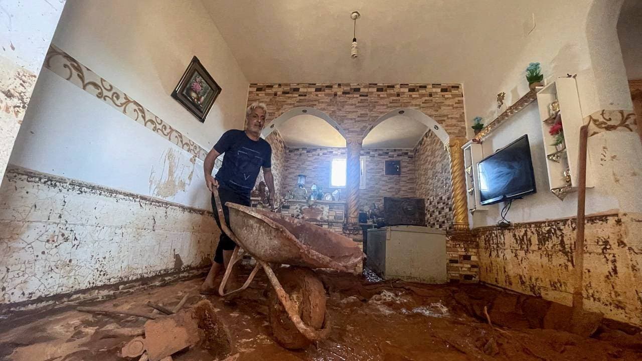 "ذا جروفز" .. عروض فنية وسط الطبيعة