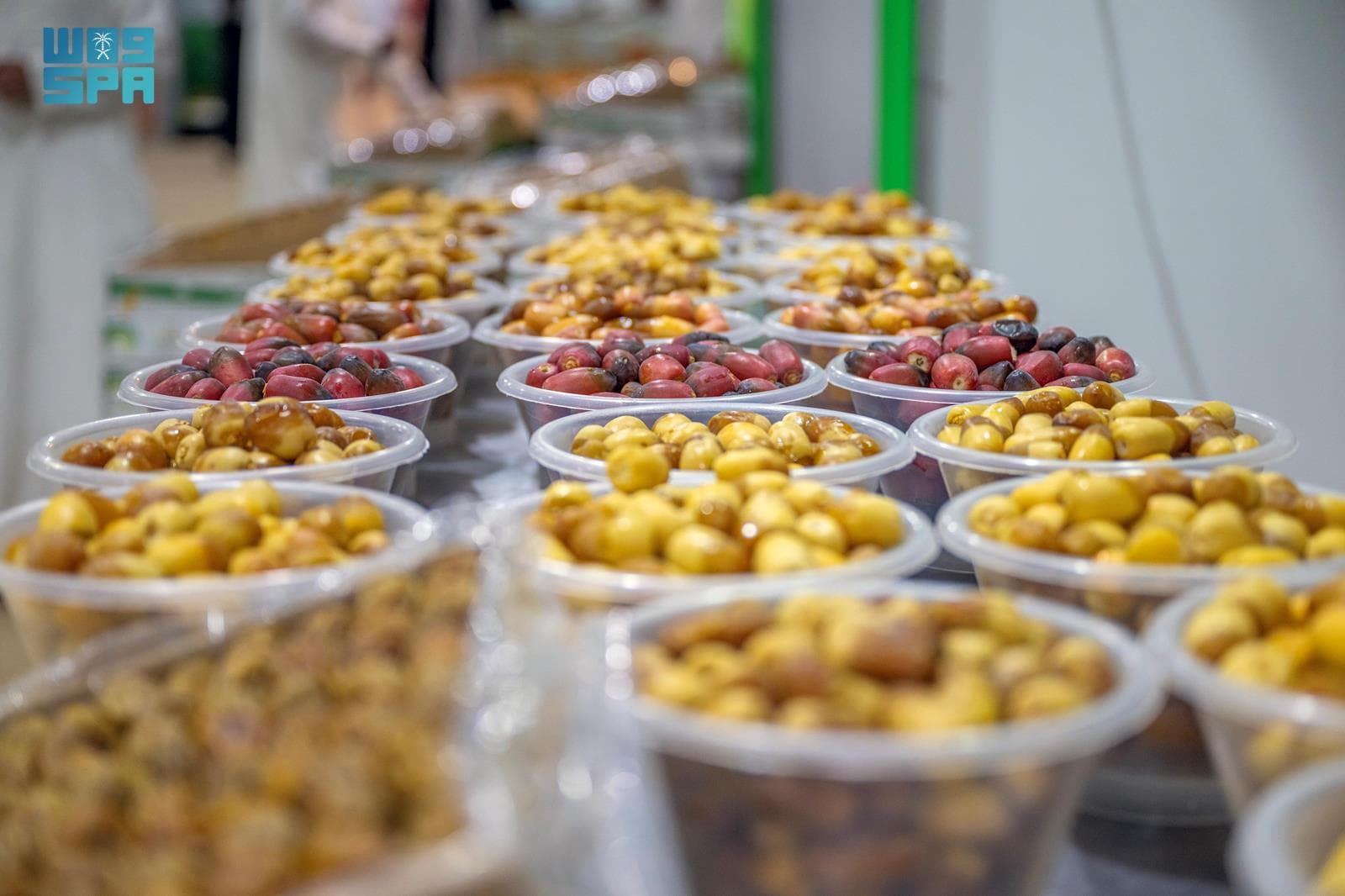 معرض التمور الثاني في الرياض منفذ لتسويق 400 ألف طن