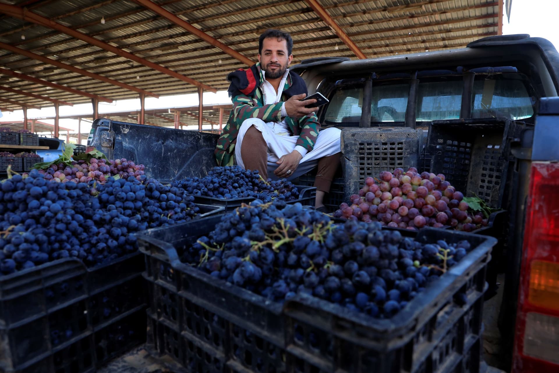 العنب اليمني