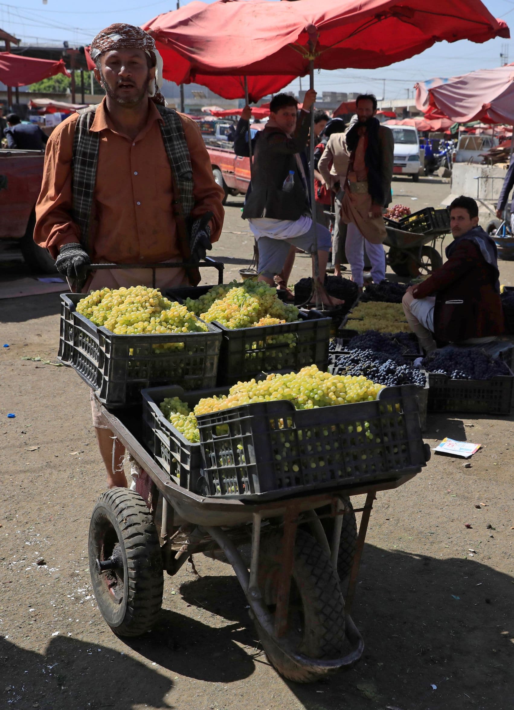 العنب اليمني