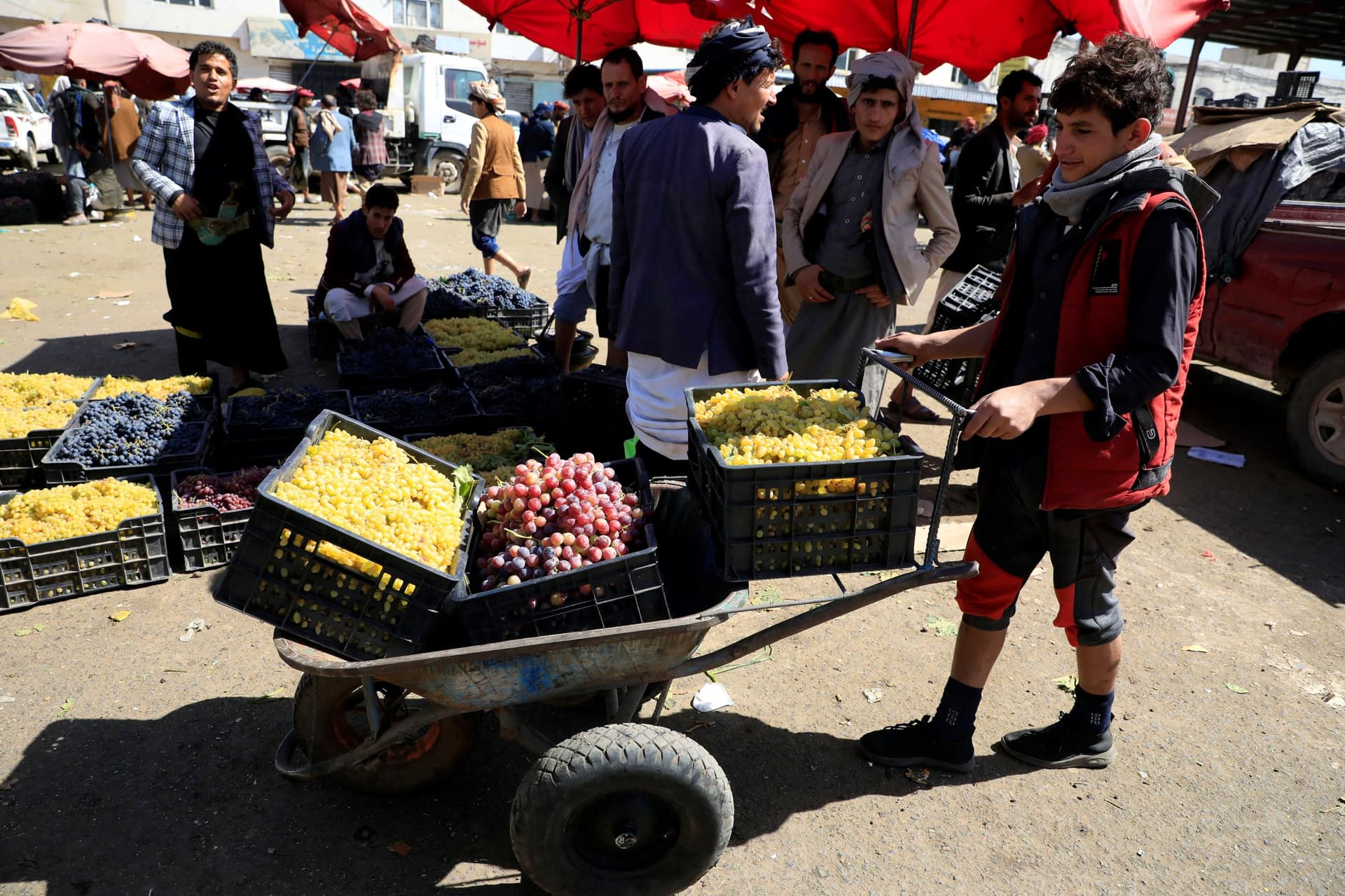 العنب اليمني