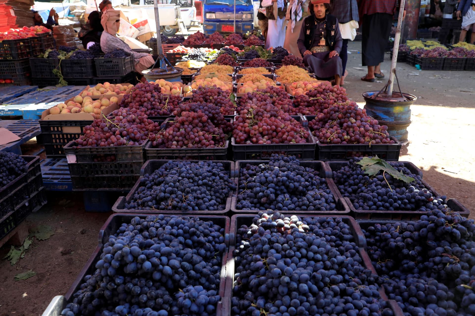 العنب اليمني