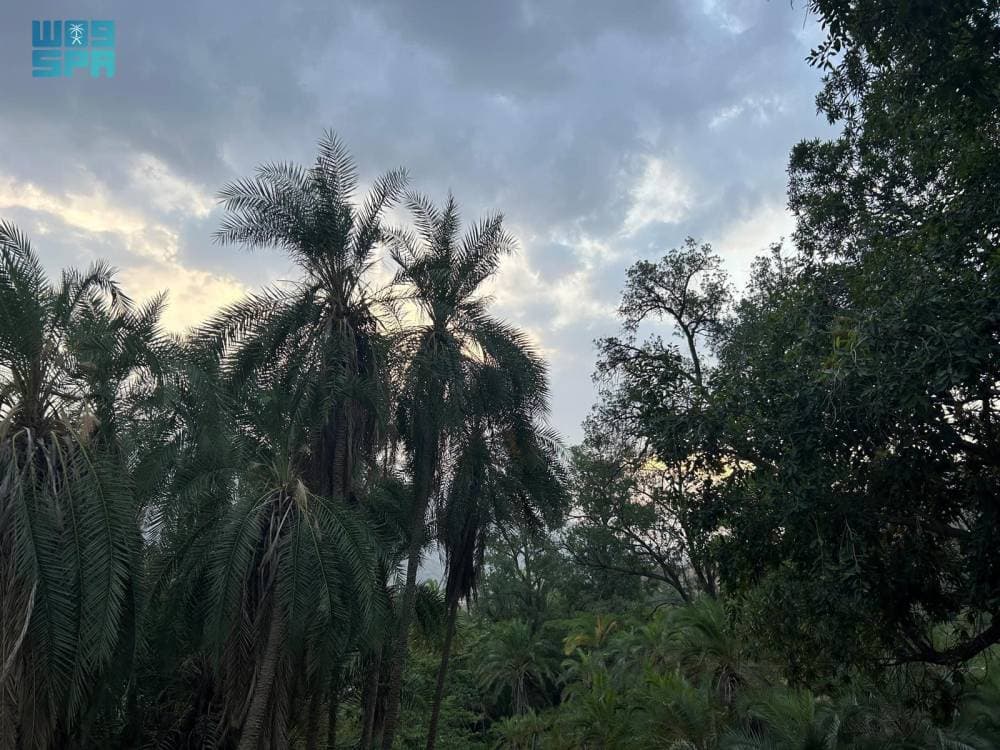 كحلا من أكثر المواقع التي يحرص الزوار والسياح عليها.